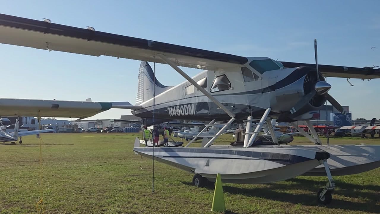 N450DM - Dehavilland DHC-2 at KLAL
